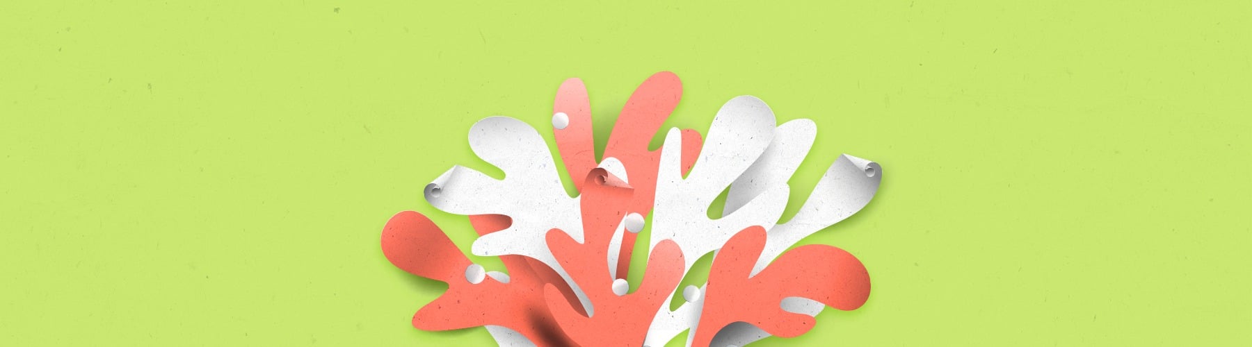 Volantini: Diversi tipi di carta