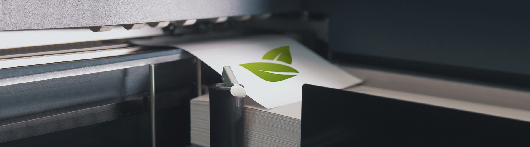Cosa si intende per stampa ecologica?